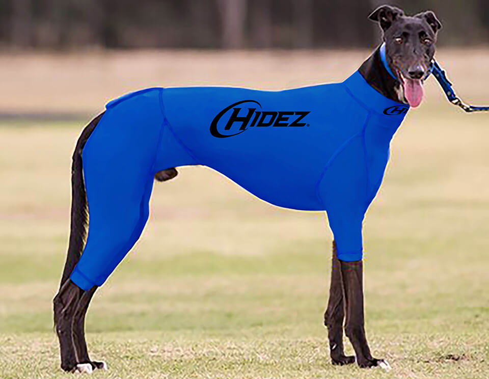 Greyhound Suits - Original