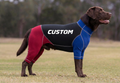 Canine Suit - Custom