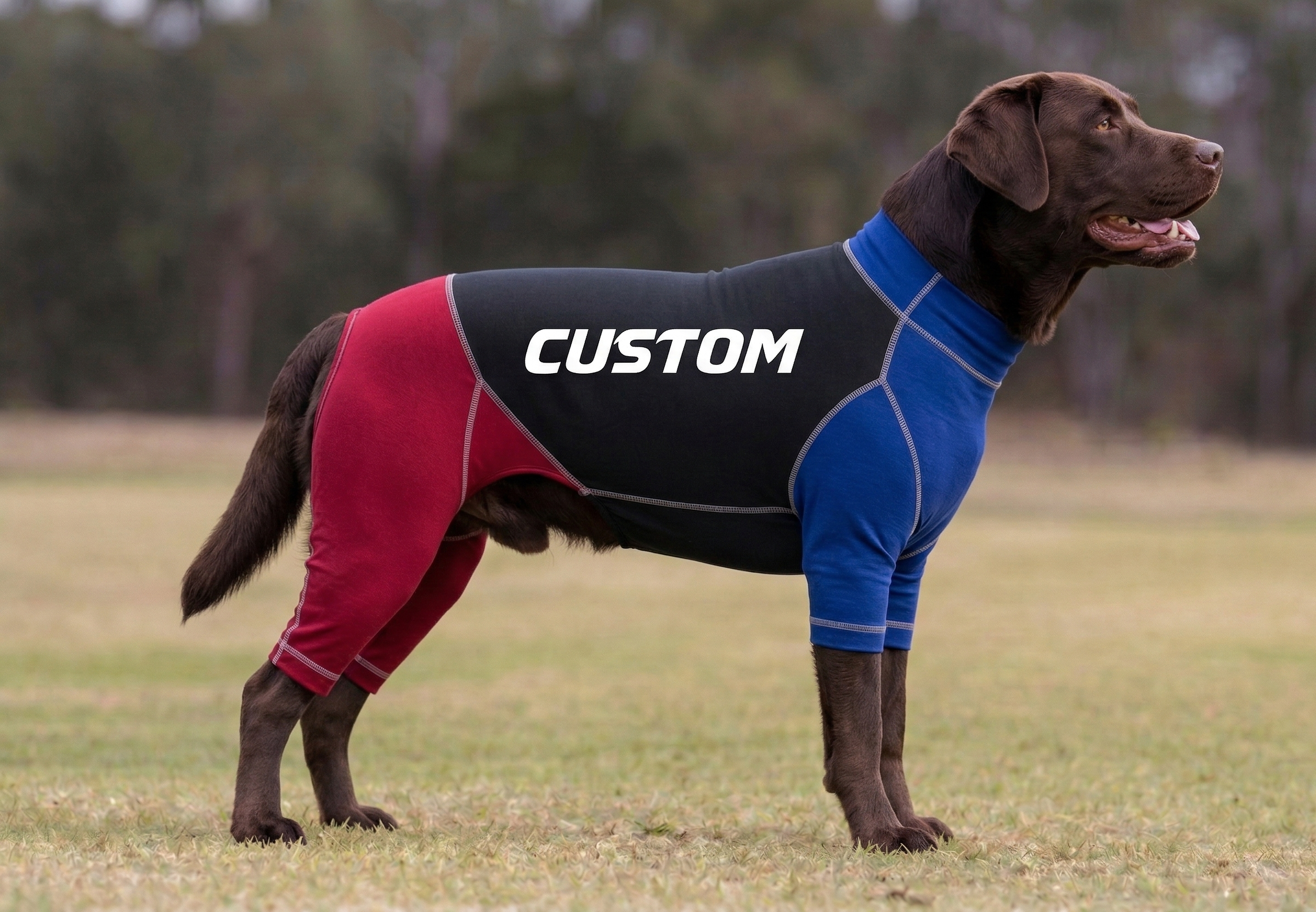 Canine Suit - Custom