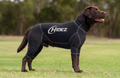 Canine Suits