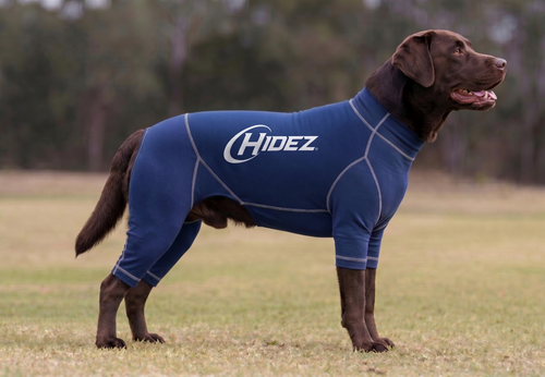 Canine Suits