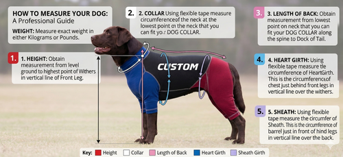 Canine Suit - Custom