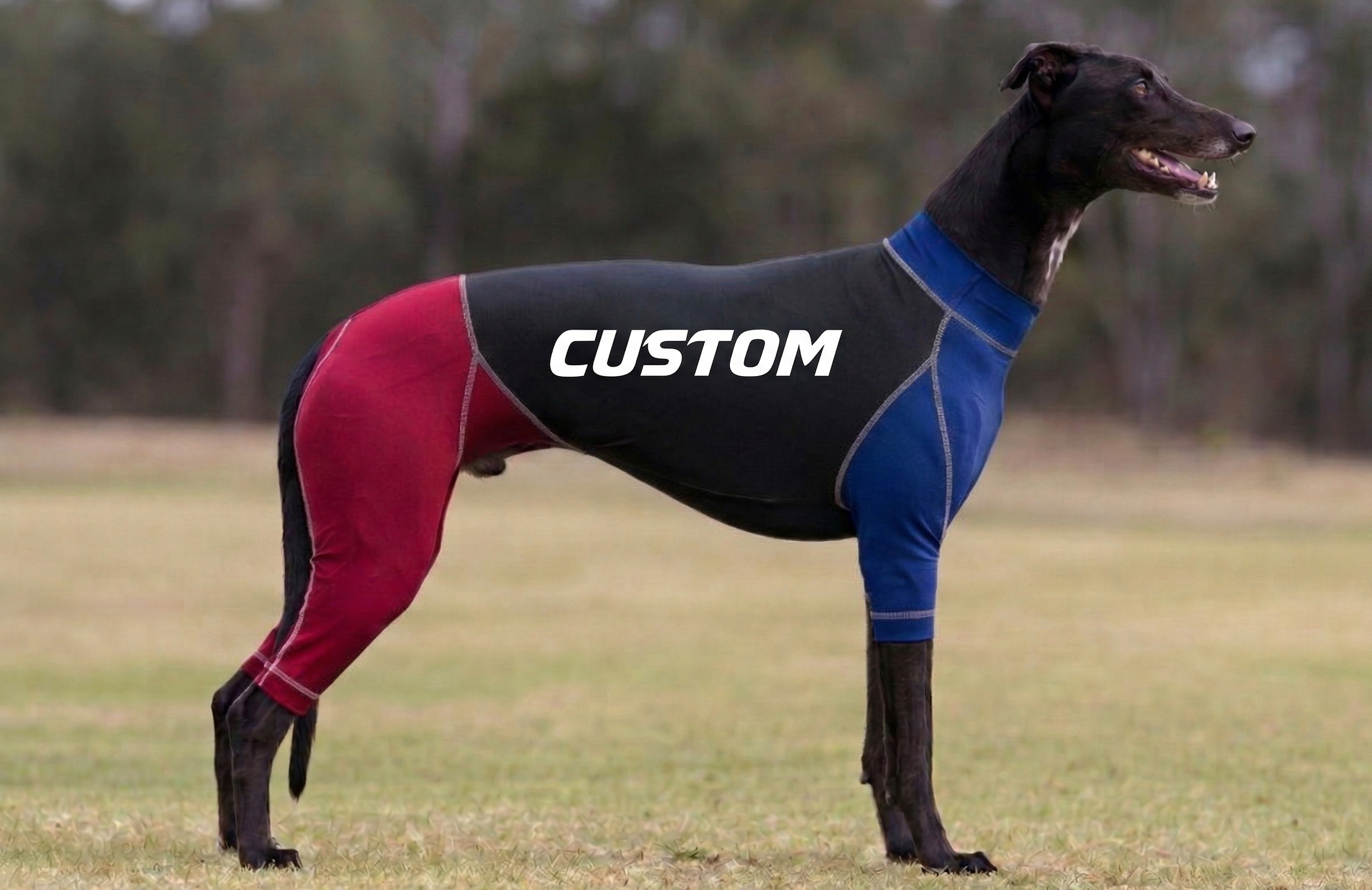 Greyhound Suits - Custom