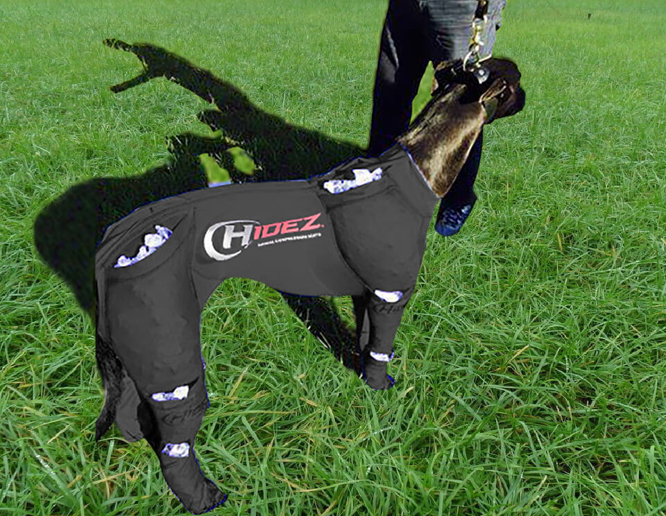 Ice Greyhound Suit