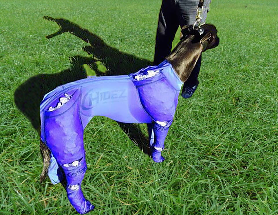 Ice Greyhound Suit