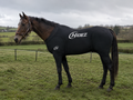 Travel & Recovery Suits - Horse