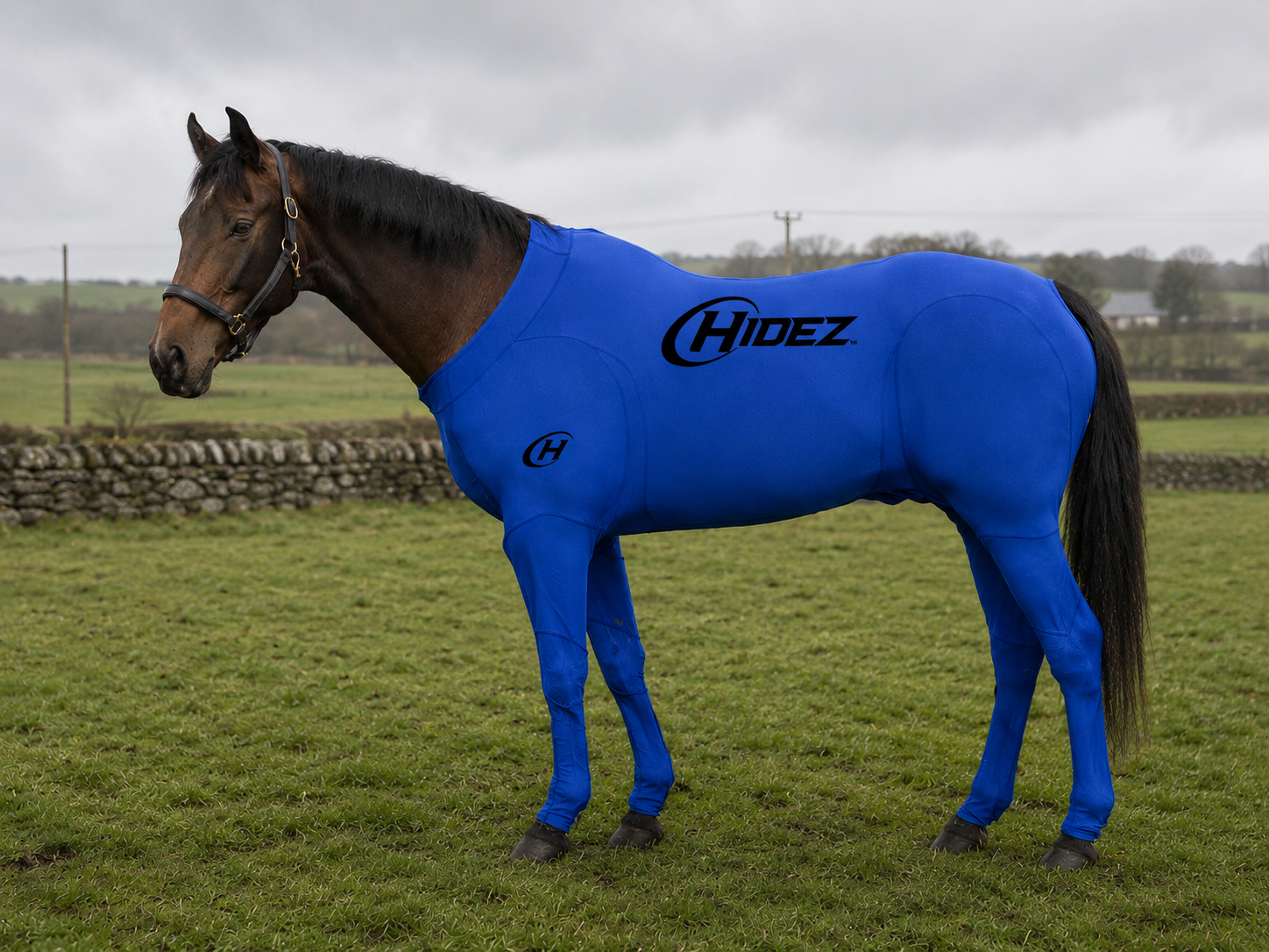 Travel & Recovery Suits - Horse