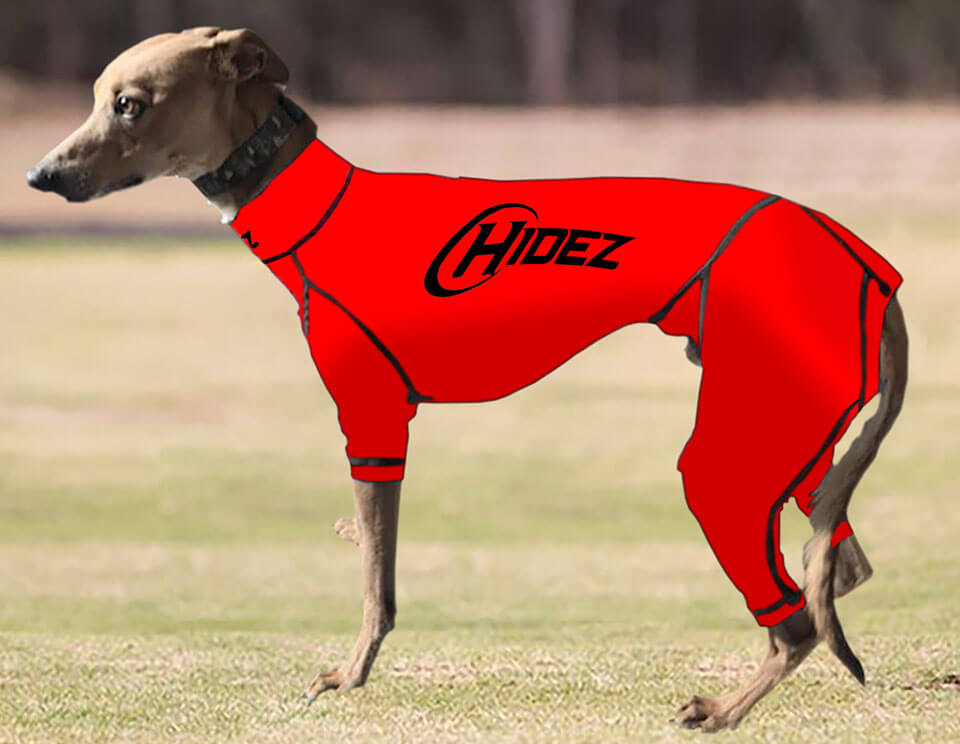Whippet Suits - Original