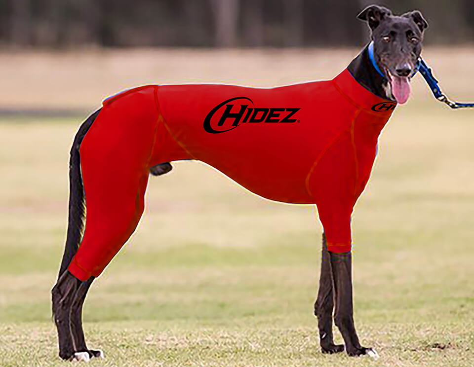 Greyhound Suits - Original