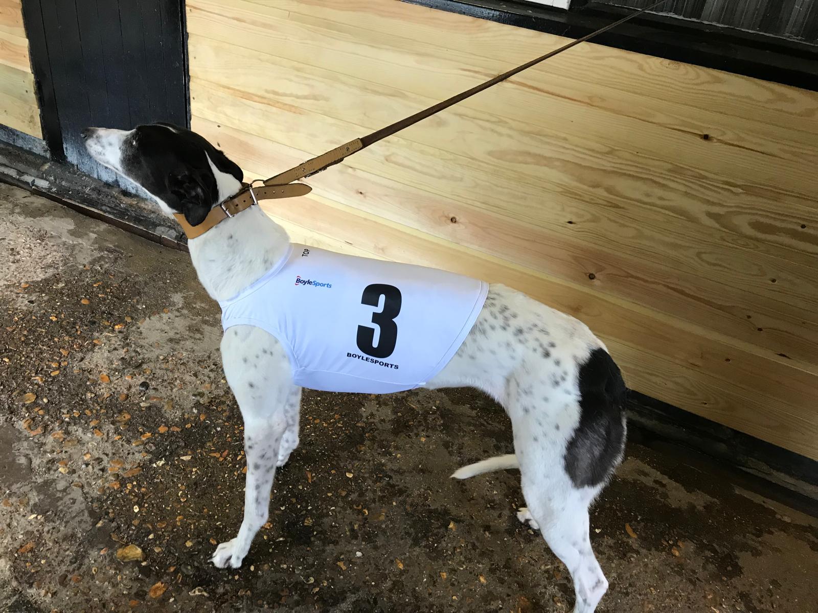 Greyhound racing vest