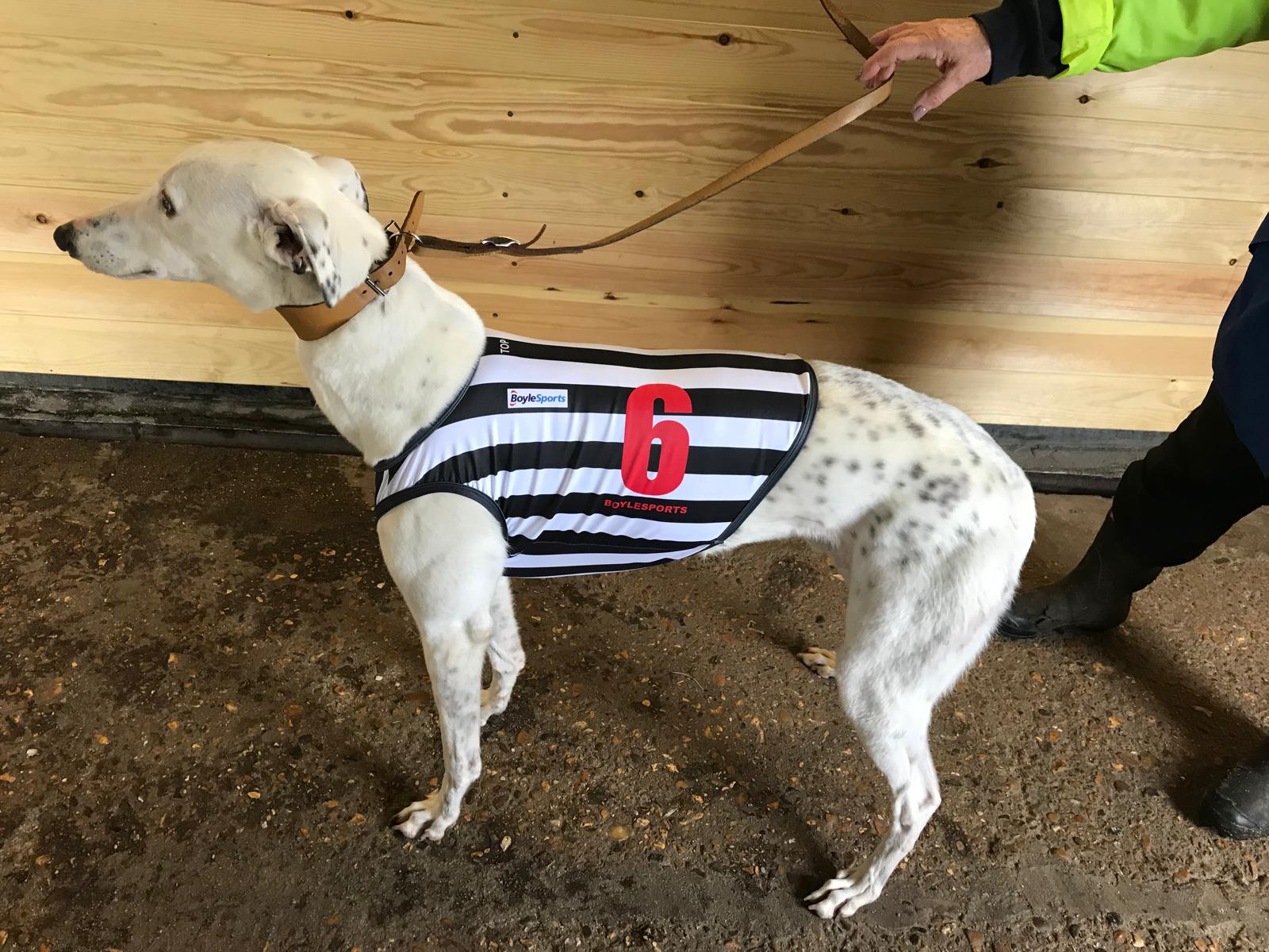 Greyhound racing vest