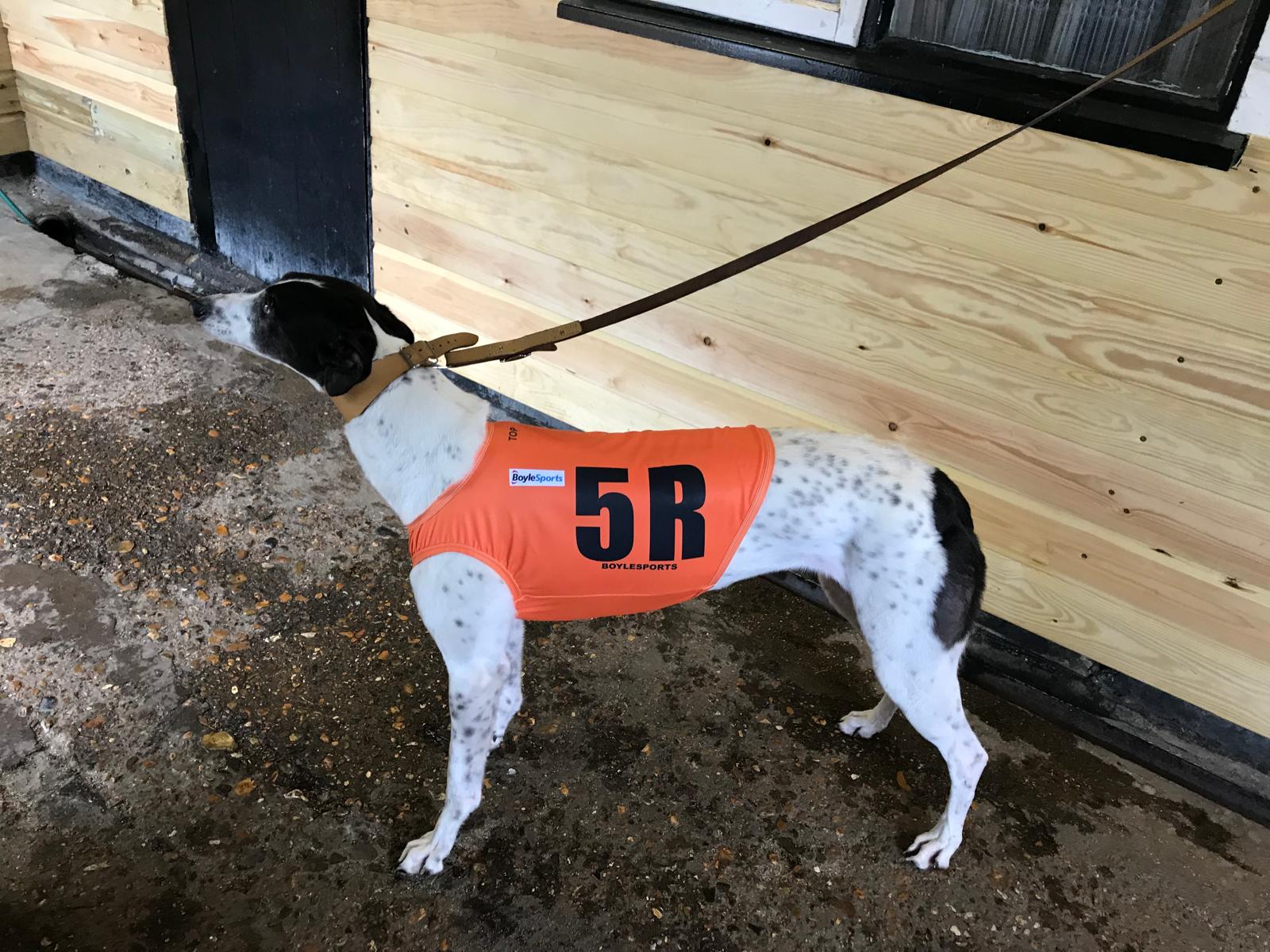 Greyhound racing vest
