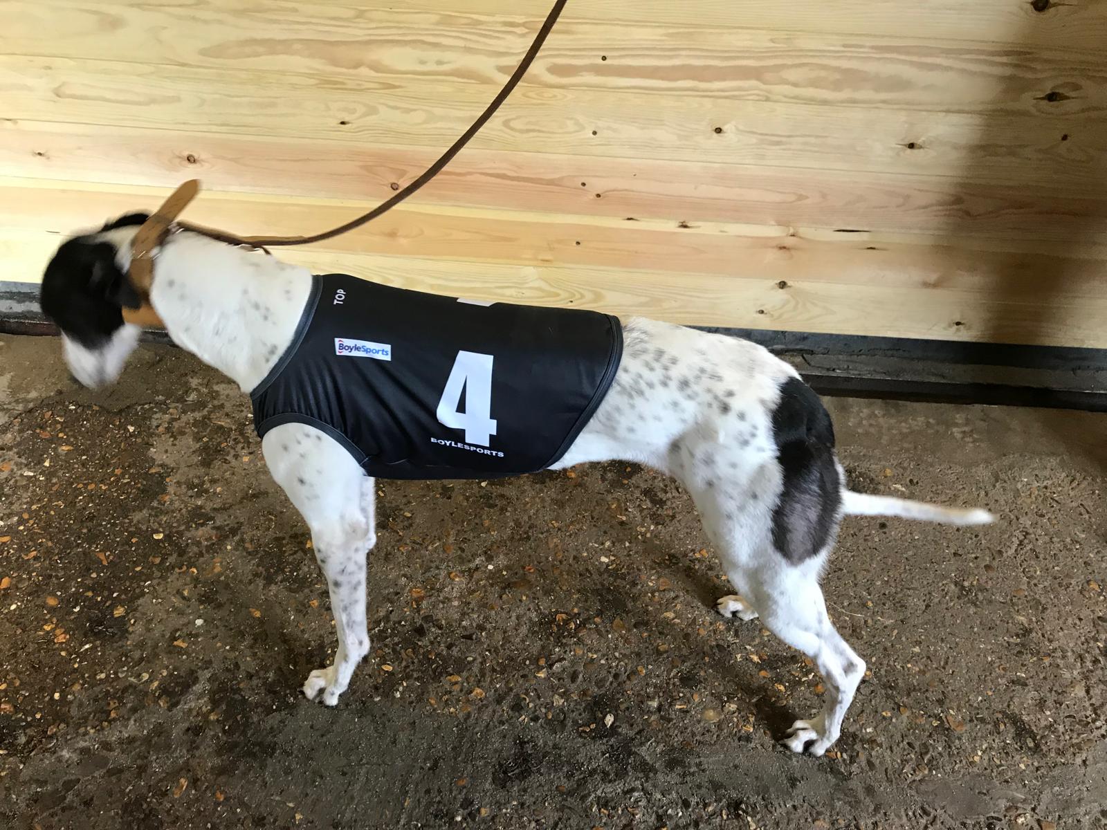 Greyhound racing vest
