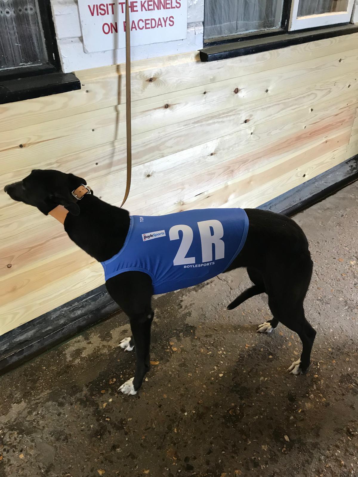 Greyhound racing vest