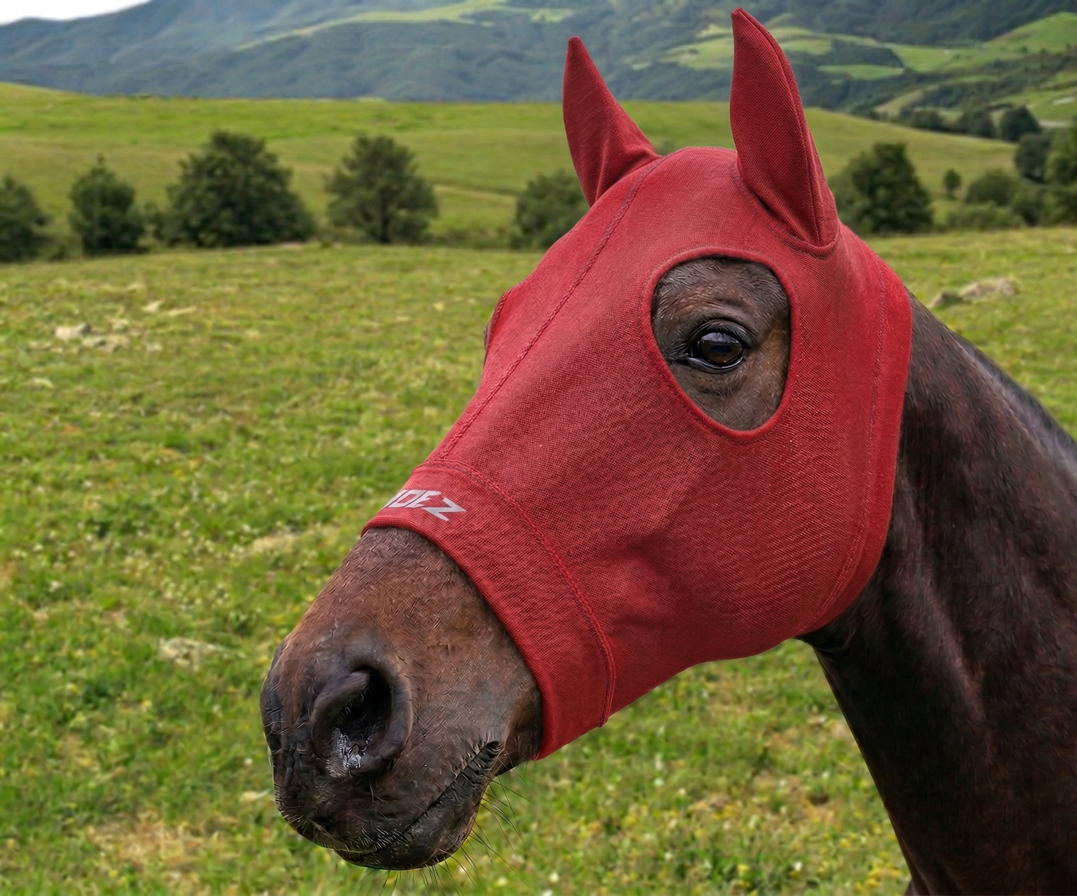 Hoods With Ears - Custom