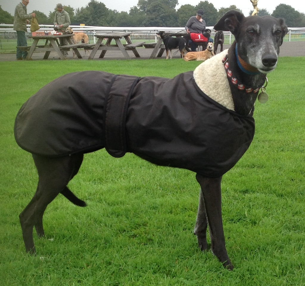 All-Weather Greyhound Jacket Collection