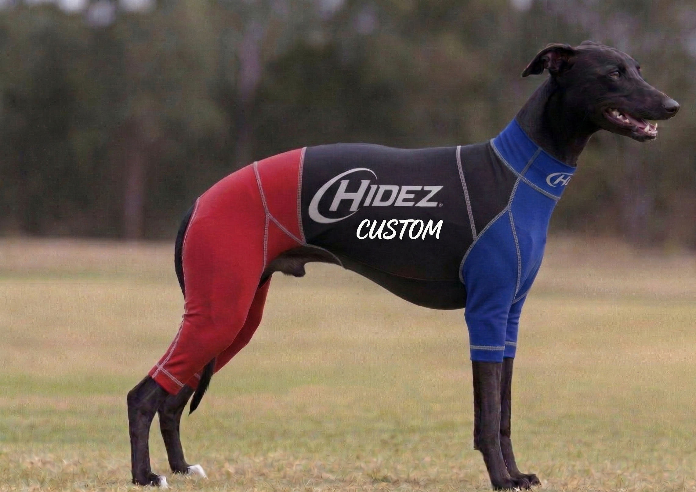Whippet Suits - Custom